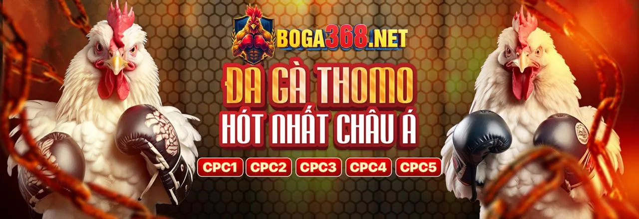 Đá gà trực tuyến kịch tính tại ok365vip link vào